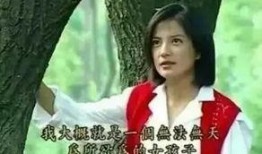 肖楚萧前女友爆料视频,揭秘恋情内幕与分手真相